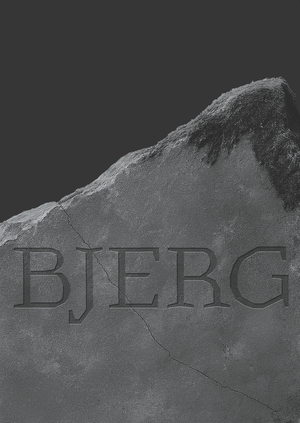 Bjerg
