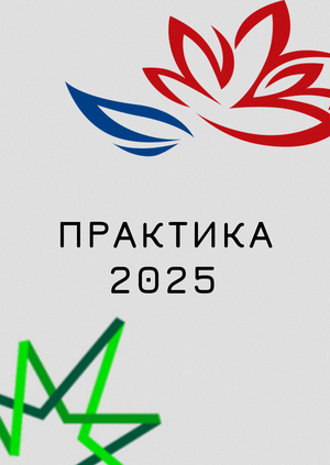 Моя практика 2025
