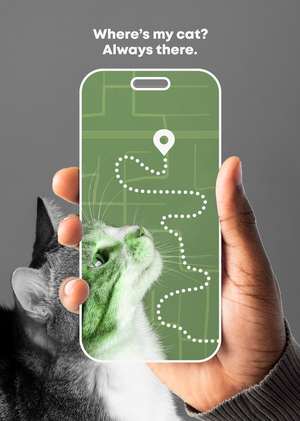 Мобильное приложение MeowSpot