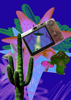 ВЕЛИКИЙ БЕСПОРЯДОК