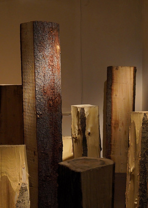 Персональная выставка «Теория сопричастности»