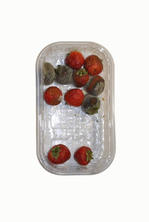 Продвижение услуг фотографа с помощью инструментов ИИ