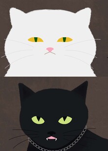 Коты встретились