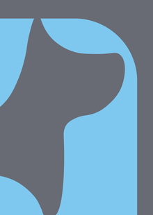 Pesa