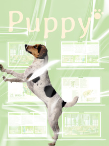 puppy