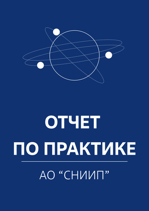 Отчет по практике в компании АО "СНИИП"