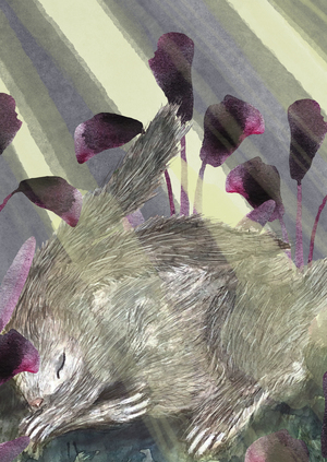 Там, где шепчет мох