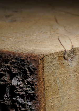 Личный бренд художника — Комплексный план и анализ продвижения