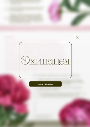 Эхинацея
