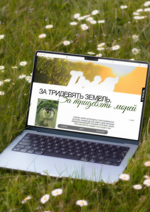 Лонгрид Ирий