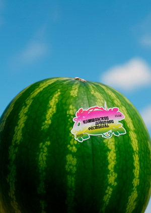 Камышинский арбузный фестиваль
