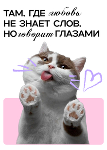 Многостраничный сайт Petwed