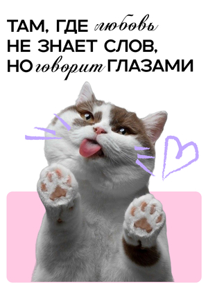 Многостраничный сайт Petwed