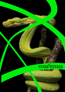 Viper Voyage