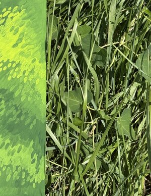 КОГДА ТРАВА БЫЛА ВЫШЕ