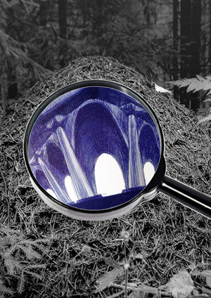 Вот я, вот я превращаюсь в муравья