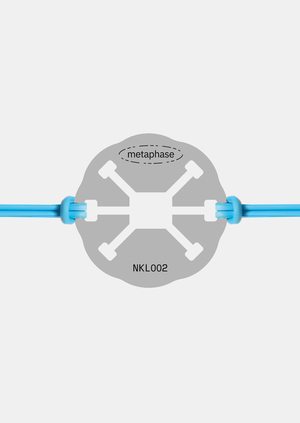 Metaphase