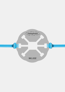 Metaphase