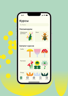 Живинка