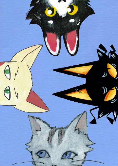 Кошачий тур