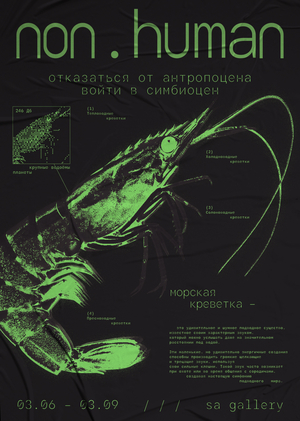 non.human: концепт выставочного проекта