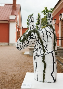 «Ход конём»