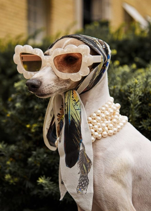 Анализ данных и визуализация