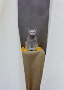 КОТ КОТ