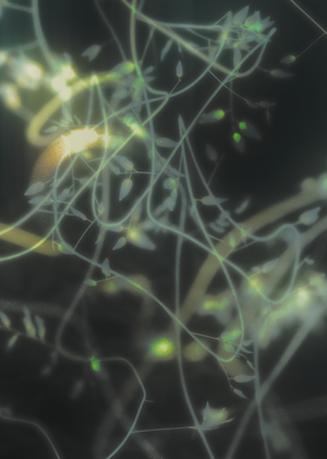 HOUDINI SHOWREEL 2024-2025