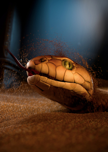 Houdini Showreel 2025