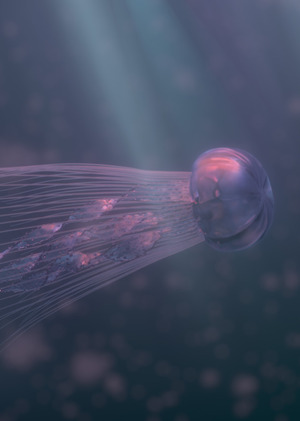 VFX SHOWREEL