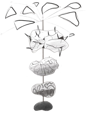 Эволюция хаоса