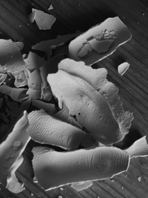 04 ПОЭТИКА РАСПАДА. 
Проект "Кариатида"