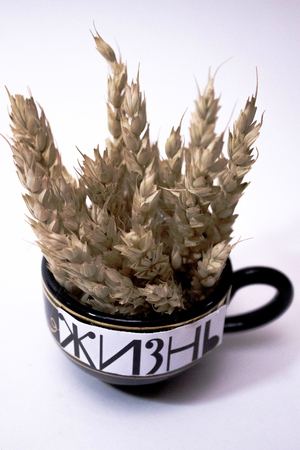 Кризис четверти жизни