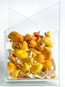 100DUCKS