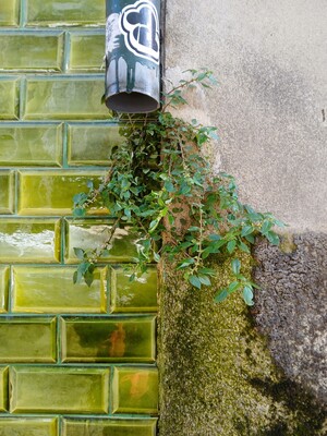 Упорядоченный хаос