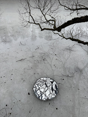 Ризома бытия
Проект на выставку 
«Великий беспорядок»