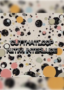 CUT THAT LOOP&nbsp;— N.I.T.M. INTERLUDE