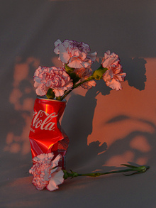 Природа в&nbsp;плену