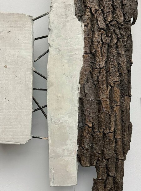 "СОЗДАВАЯ РАЗРУШЕНИЕ", серия работ о внедрении человека в природу