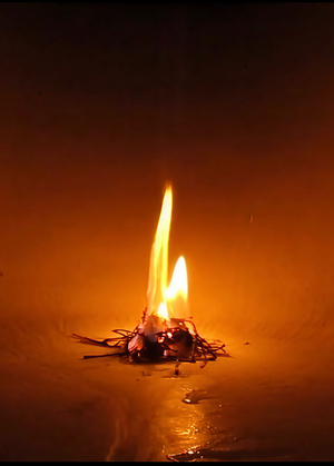 Video essay “Flames into ashes”