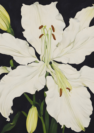 Flower as a Letter