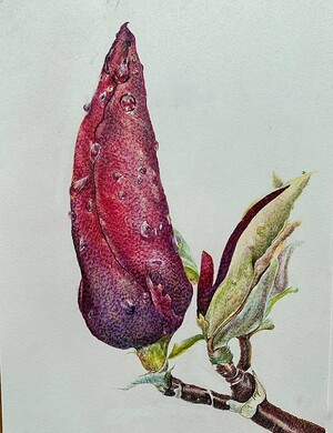 Эдемский сад