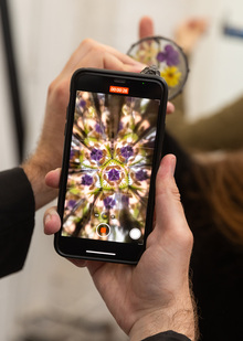 Проект «Миндальний Восток» в&nbsp;арт-резиденции «Заря»