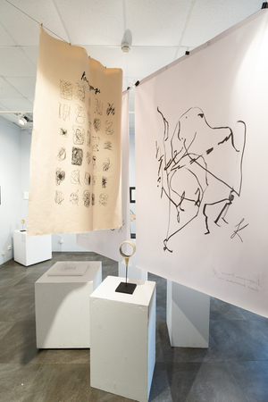 Проект Каракули