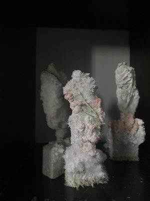 Новая жизнь 