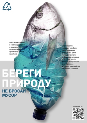 Портфолио