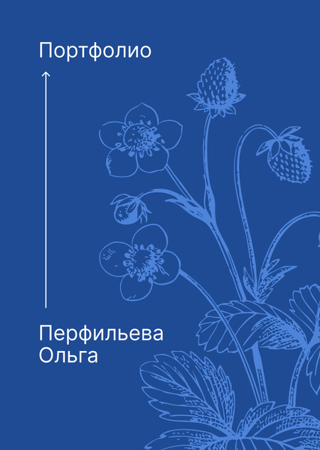 Портфолио Перфильева