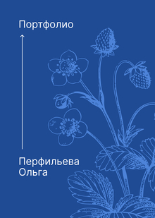 Портфолио Перфильева