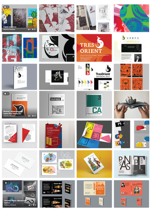 PORTFOLIO BEHANCE